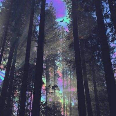 网信彩票-用户登录